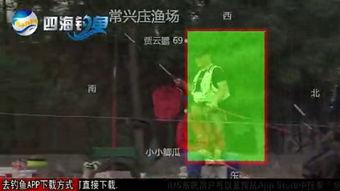 黑坑江湖爆料视频下载免费,免费下载爆料视频背后的秘密  第1张